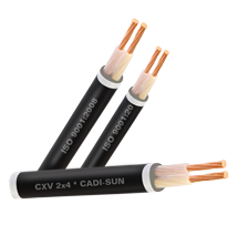 Cáp đồng 2 ruột bọc CXV 2x - Cadisun