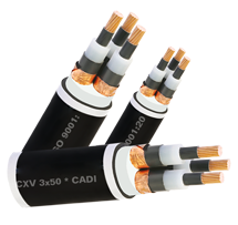 Cáp đồng 3 ruột bọc CXV 3x - Cadisun