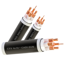 Cáp đồng 4 ruột bọc CXV 4x - Cadisun