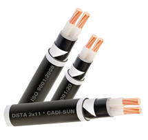 Cáp ngầm 2 ruột DSTA 2x - Cadisun